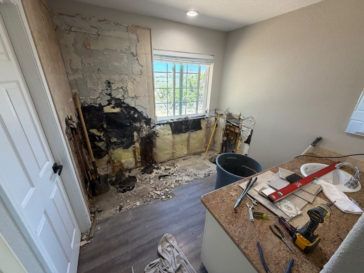 Bathroom before renovation — gutted to the studs during demolition